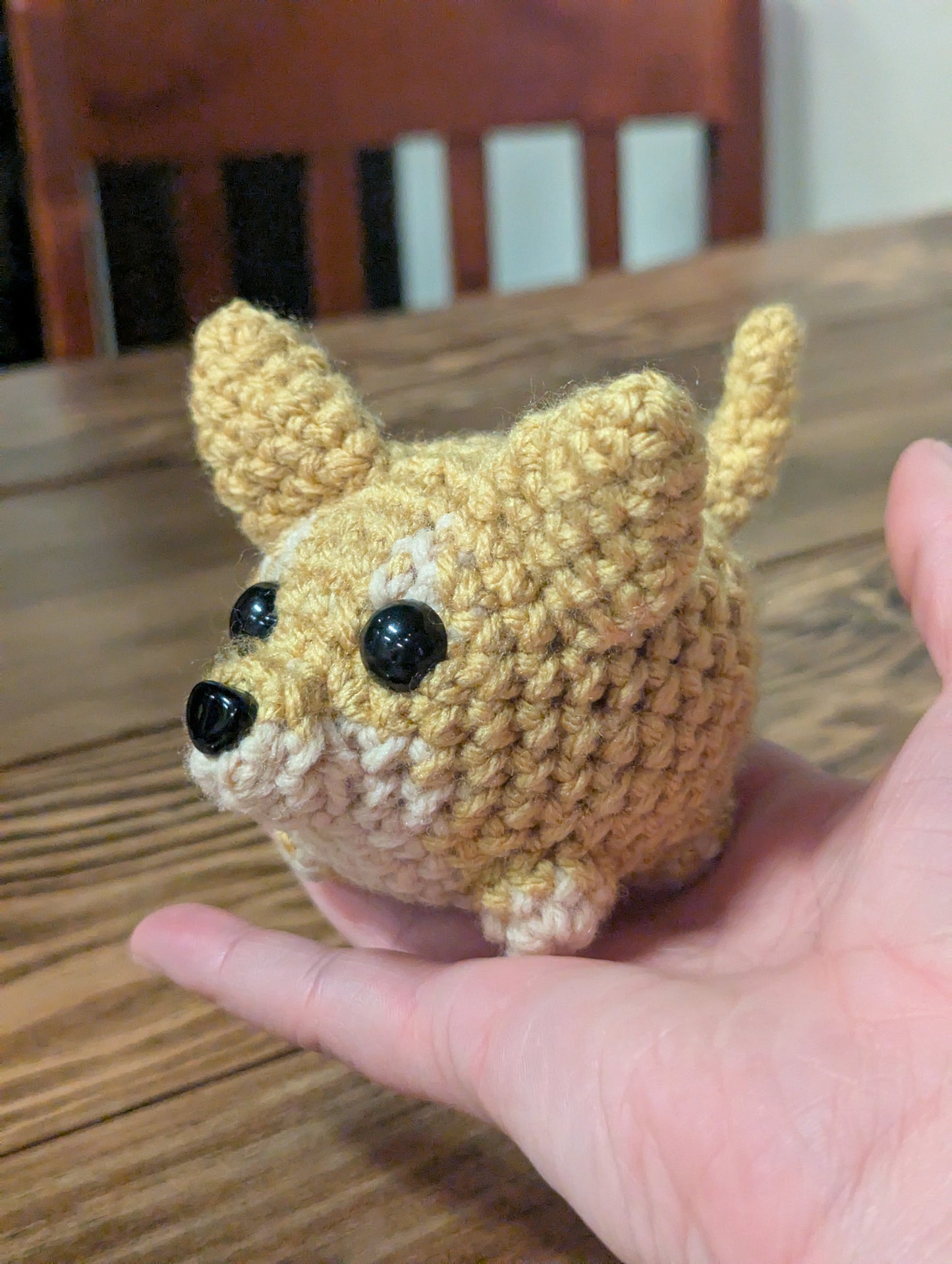 Chihuahau Orb Pattern