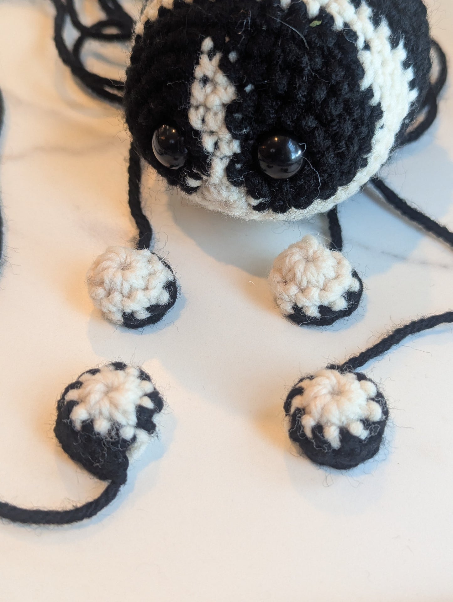 Border Collie Orb Pattern